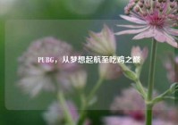 PUBG，从梦想起航至吃鸡之巅