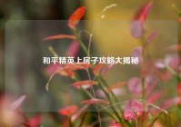 和平精英上房子攻略大揭秘