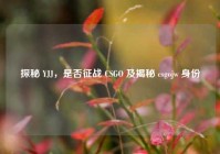 探秘 YJJ，是否征战 CSGO 及揭秘 csgojw 身份