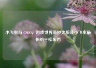 小飞虫与 CSGO，游戏世界奇妙之旅及小飞虫最怕的三样东西
