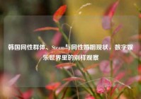 韩国同性群体、Steam与同性婚姻现状，数字娱乐世界里的别样观察