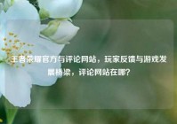 王者荣耀官方与评论网站，玩家反馈与游戏发展桥梁，评论网站在哪？