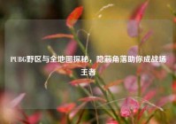 PUBG野区与全地图探秘，隐蔽角落助你成战场王者