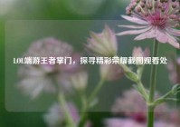 LOL端游王者掌门，探寻精彩荣耀截图观看处