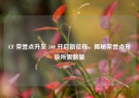 CF 荣誉点升至 500 开启新征程，揭秘荣誉点升级所需数量
