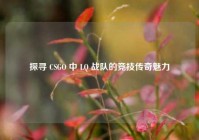 探寻 CSGO 中 LQ 战队的竞技传奇魅力