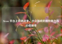 Steam 平台上铁锈战争，小众游戏的独特魅力与价格探寻