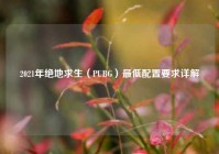 2021年绝地求生（PUBG）最低配置要求详解