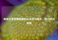 揭秘王者荣耀国服赵云出装与铭文，助力峡谷驰骋