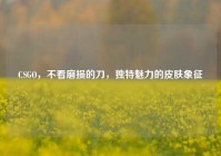 CSGO，不看磨损的刀，独特魅力的皮肤象征