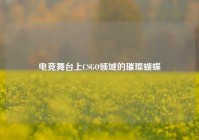 电竞舞台上CSGO领域的璀璨蝴蝶