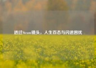 透过Steam镜头，人生百态与闪退困扰