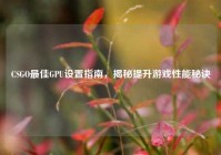 CSGO最佳GPU设置指南，揭秘提升游戏性能秘诀