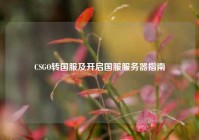 CSGO转国服及开启国服服务器指南