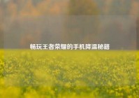 畅玩王者荣耀的手机降温秘籍