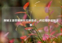 探秘王者荣耀枫叶兑换地点，开启奇妙福利之旅