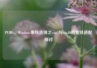 PUBG，Windows系统选择之win7与win10的竞技适配探讨