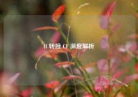 H 转接 CF 深度解析