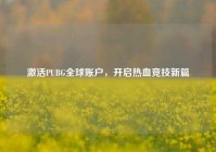 激活PUBG全球账户，开启热血竞技新篇