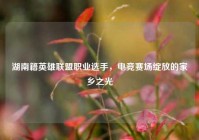 湖南籍英雄联盟职业选手，电竞赛场绽放的家乡之光