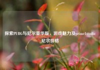 探索PUBG与尼尔豪华版，游戏魅力及prime1studio尼尔价格