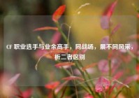 CF 职业选手与业余高手，同战场，展不同风采，析二者区别