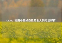 CSGO，对局中踢掉自己及他人的方法解析