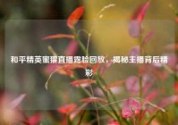 和平精英蜜獾直播露脸回放，揭秘主播背后精彩