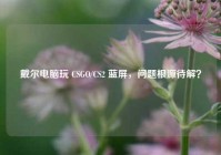 戴尔电脑玩 CSGO/CS2 蓝屏，问题根源待解？