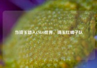 当琦玉踏入CSGO世界，琦玉红蝎子队