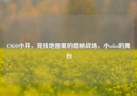 CSGO小井，竞技地图里的隐秘战场，小niko的舞台