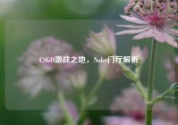 CSGO激战之地，Nuke门厅解析