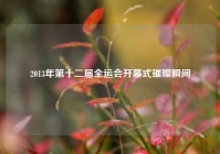 2013年第十二届全运会开幕式璀璨瞬间