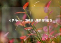 本子与Steam，游戏文化里的独特存在