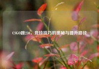 CSGO跳230，竞技技巧的奥秘与提升路径