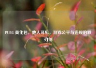 PUBG 美化包，他人可见，游戏公平与违规的双刃剑