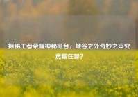 探秘王者荣耀神秘电台，峡谷之外奇妙之声究竟藏在哪？