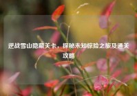 逆战雪山隐藏关卡，探秘未知惊险之旅及通关攻略