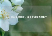 Steam 平台价格解析，斗士之魂是否好玩？