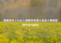 绝地求生（PUBG）回放中关闭人名及人物信息的方法与技巧