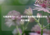 斗鱼秋秋与Steam，游戏世界的精彩碰撞及秋秋照片揭秘