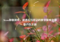 Steam卸载游戏，被遗忘与铭记的数字旅程及卸载仍在之谜