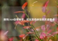探究CSGO自带帧率，优化游戏体验的关键要点