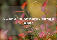 Steam弹力球，开启奇妙休闲之旅，该弹力球游戏叫啥？
