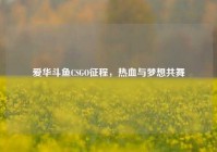 爱华斗鱼CSGO征程，热血与梦想共舞