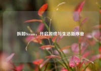 拆卸Steam，开启游戏与生活新序章
