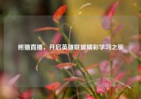 熊猫直播，开启英雄联盟精彩学习之旅