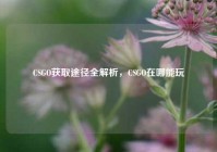 CSGO获取途径全解析，CSGO在哪能玩