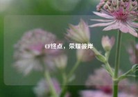CF终点，荣耀彼岸