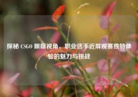 探秘 CSGO 眼瞎视角，职业选手近屏观赛独特体验的魅力与挑战